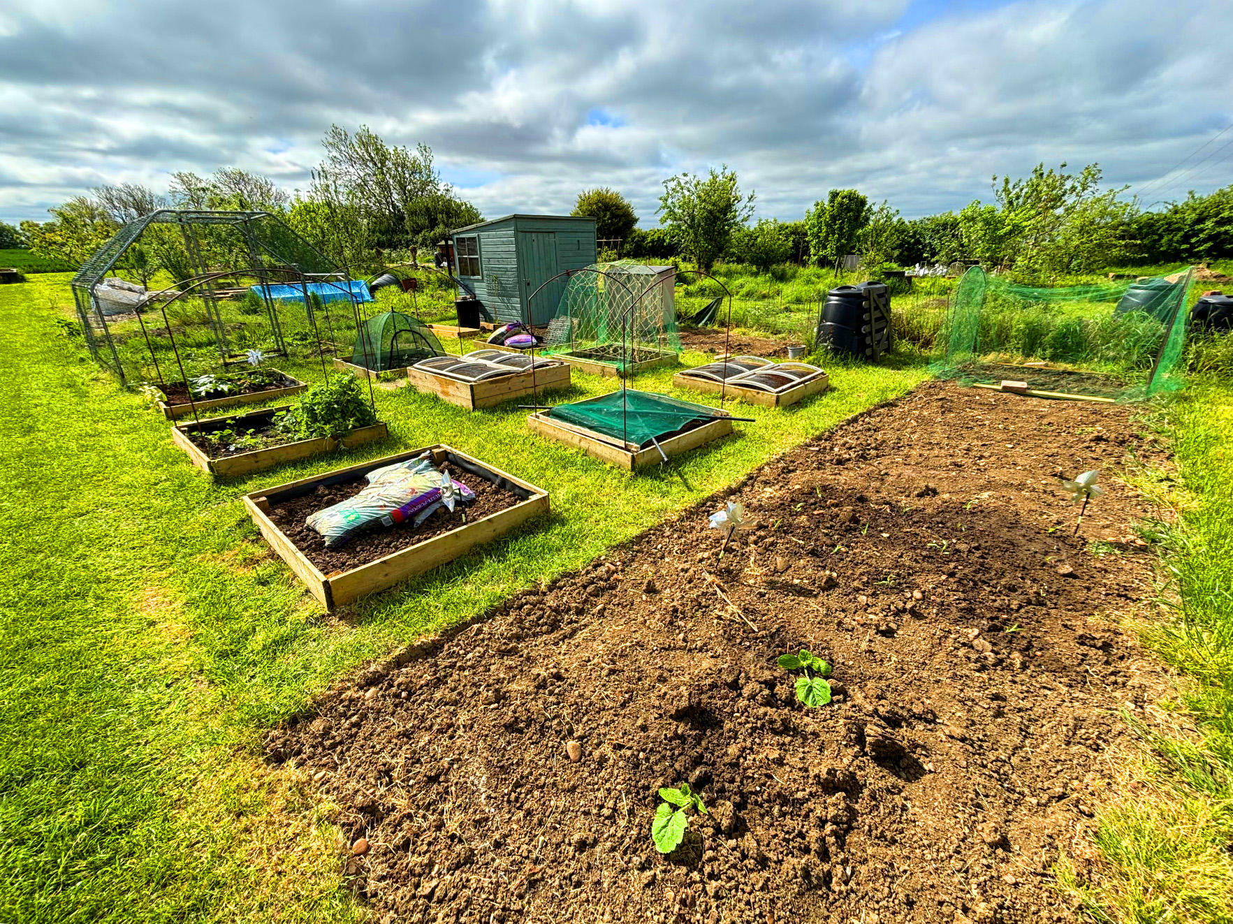 Plot 3C